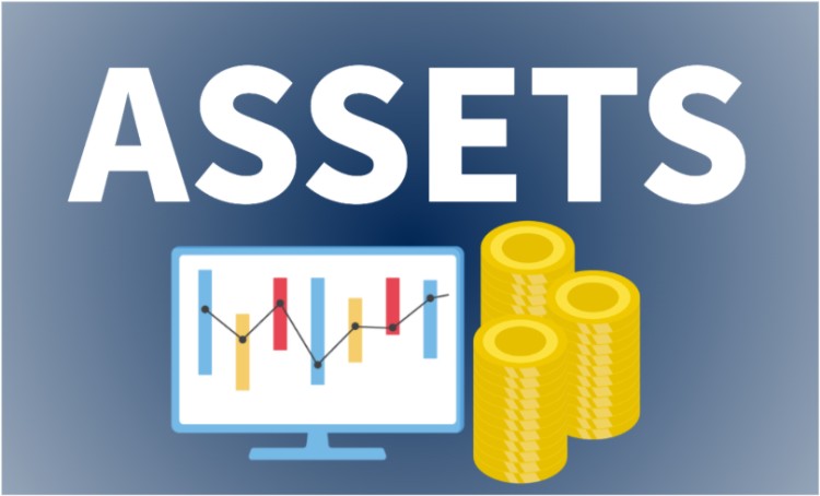 ASSETS